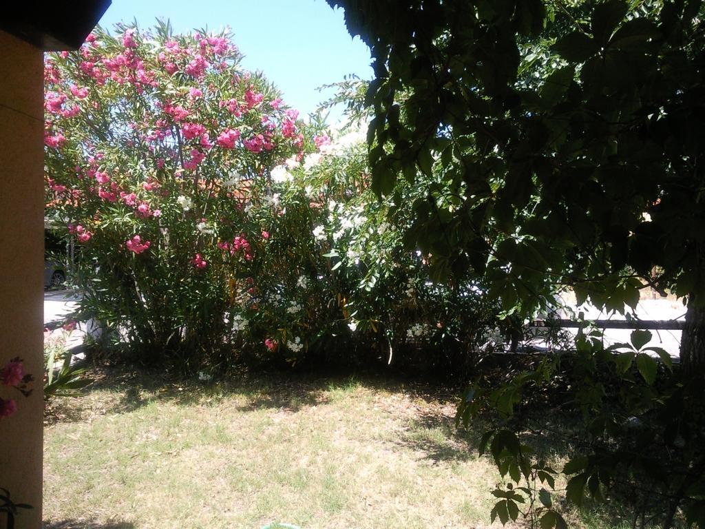 Monolocale San Teodoro Apartment San Teodoro  Room photo